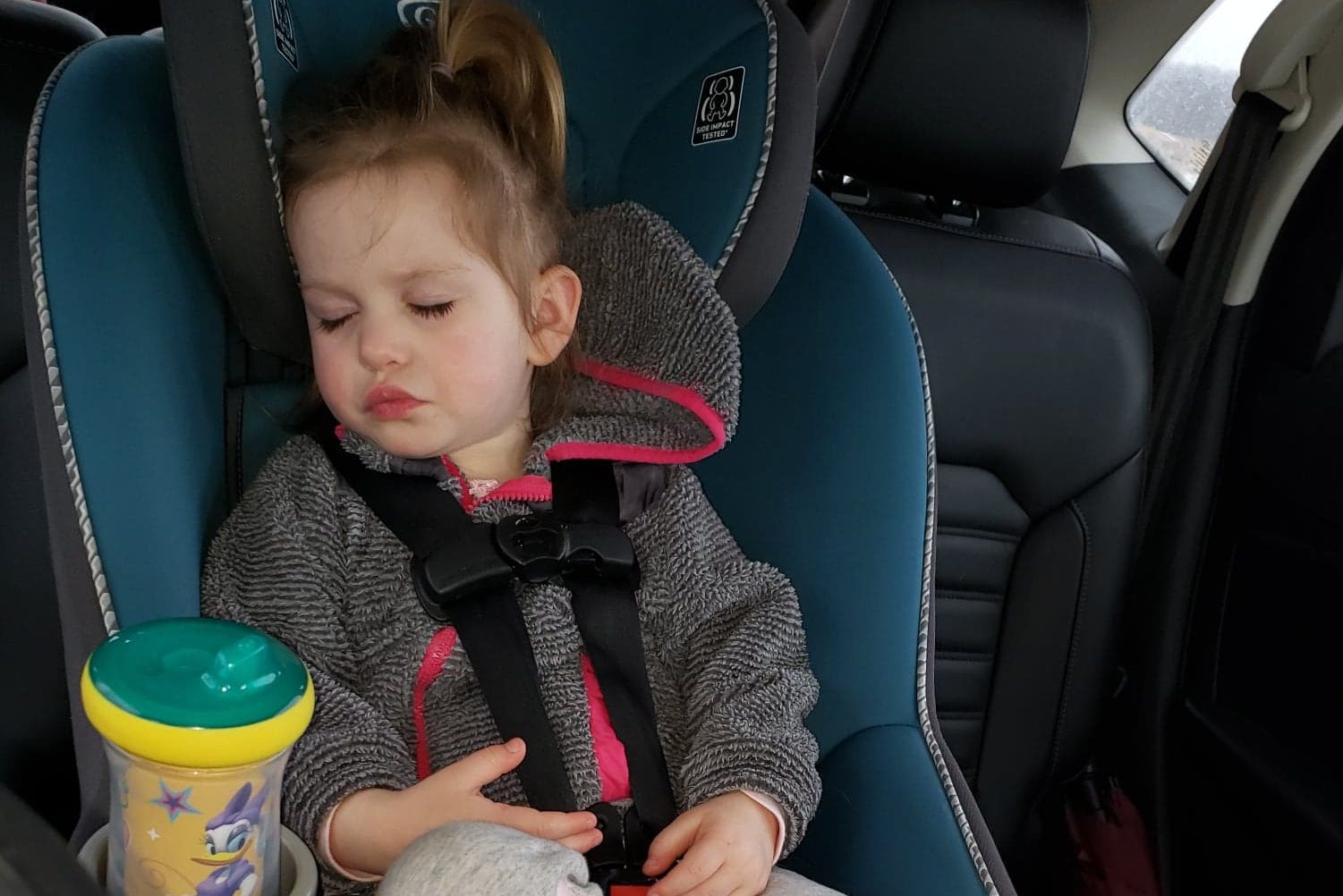 Sleeping Toddler Backseat