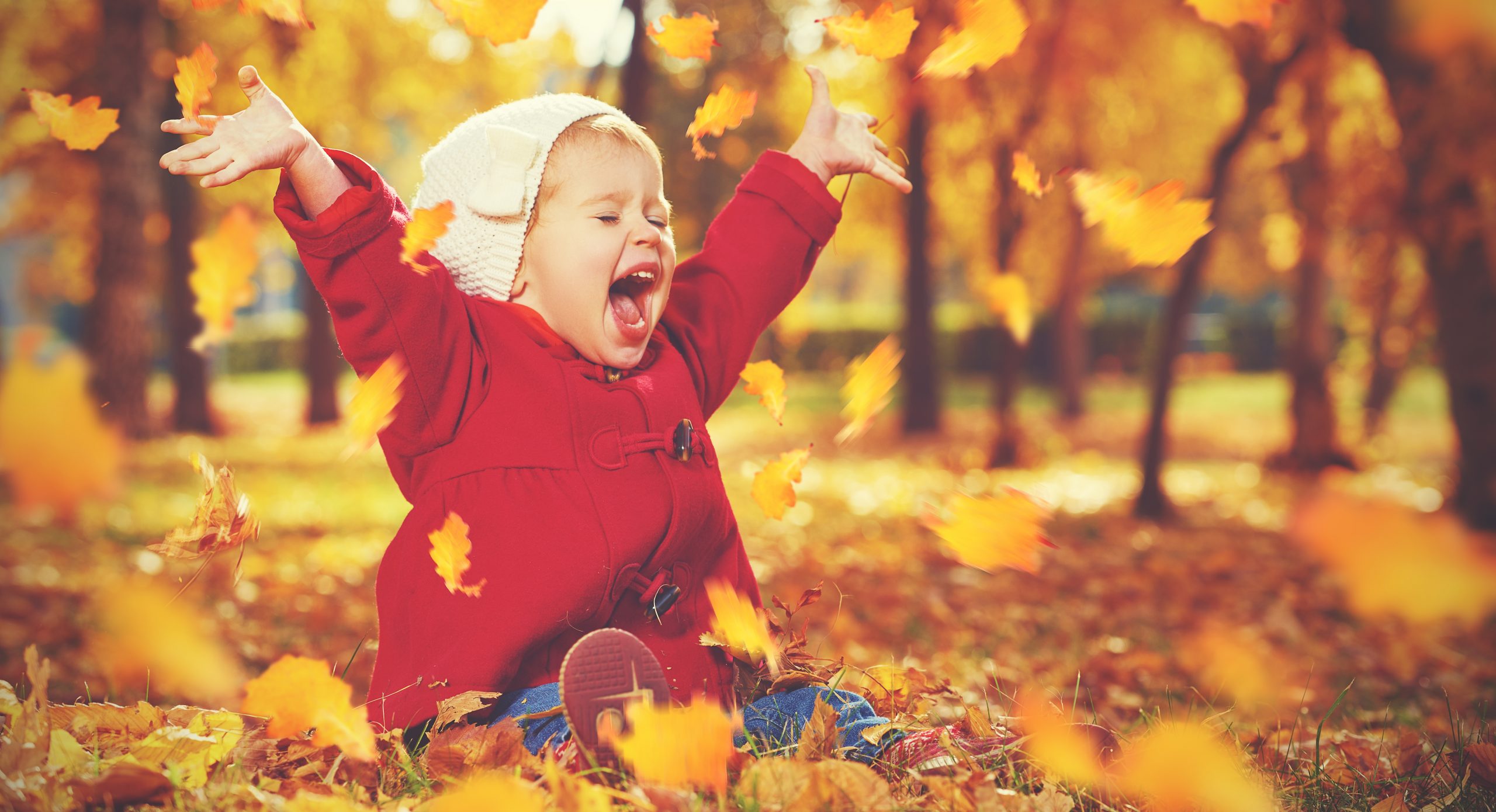 Weekend Fall Activities In + Around Lansing - Lansing Mom