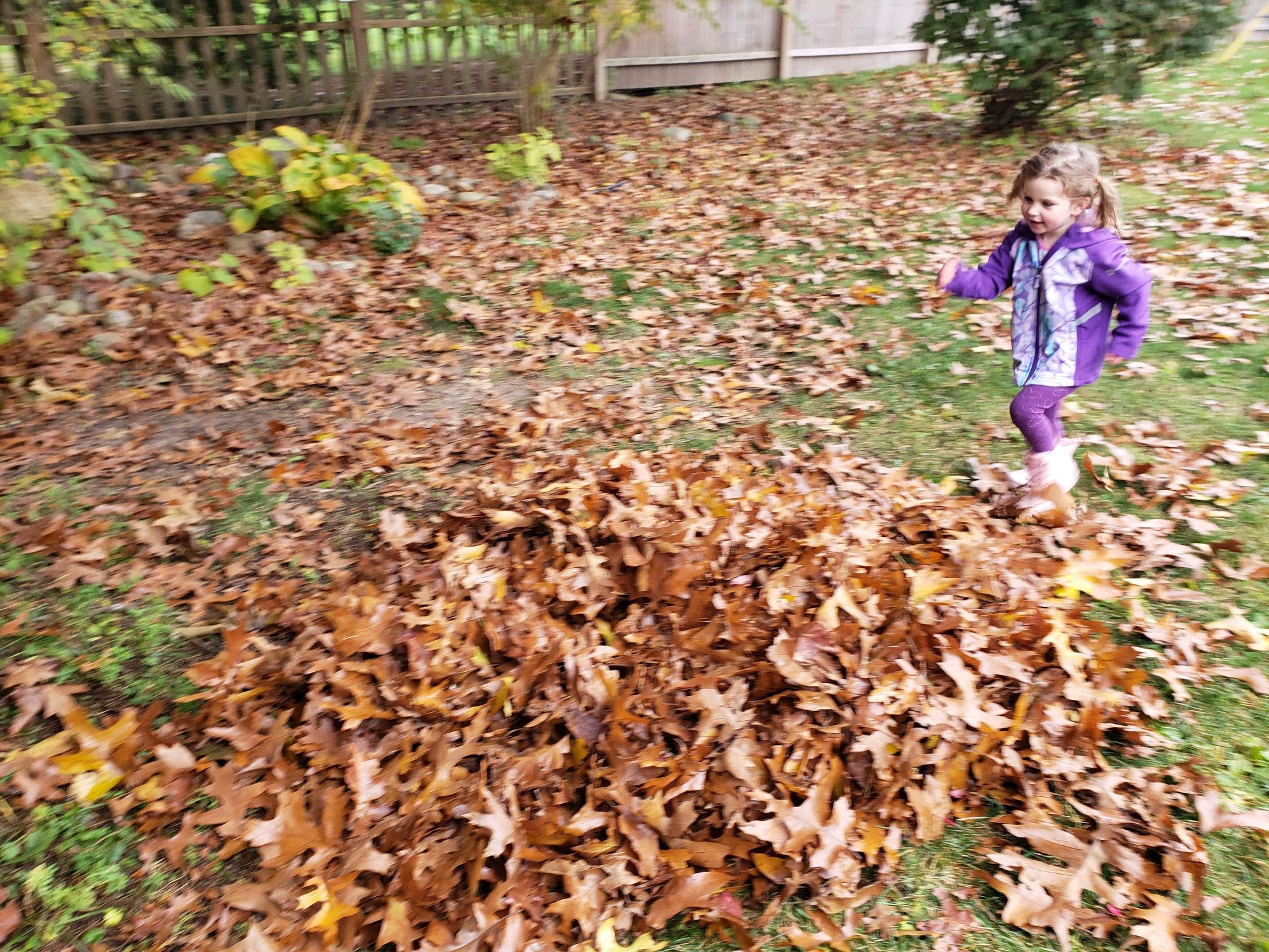 Jumping in Leaves