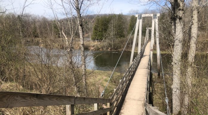 suspension bridge over Manistee River