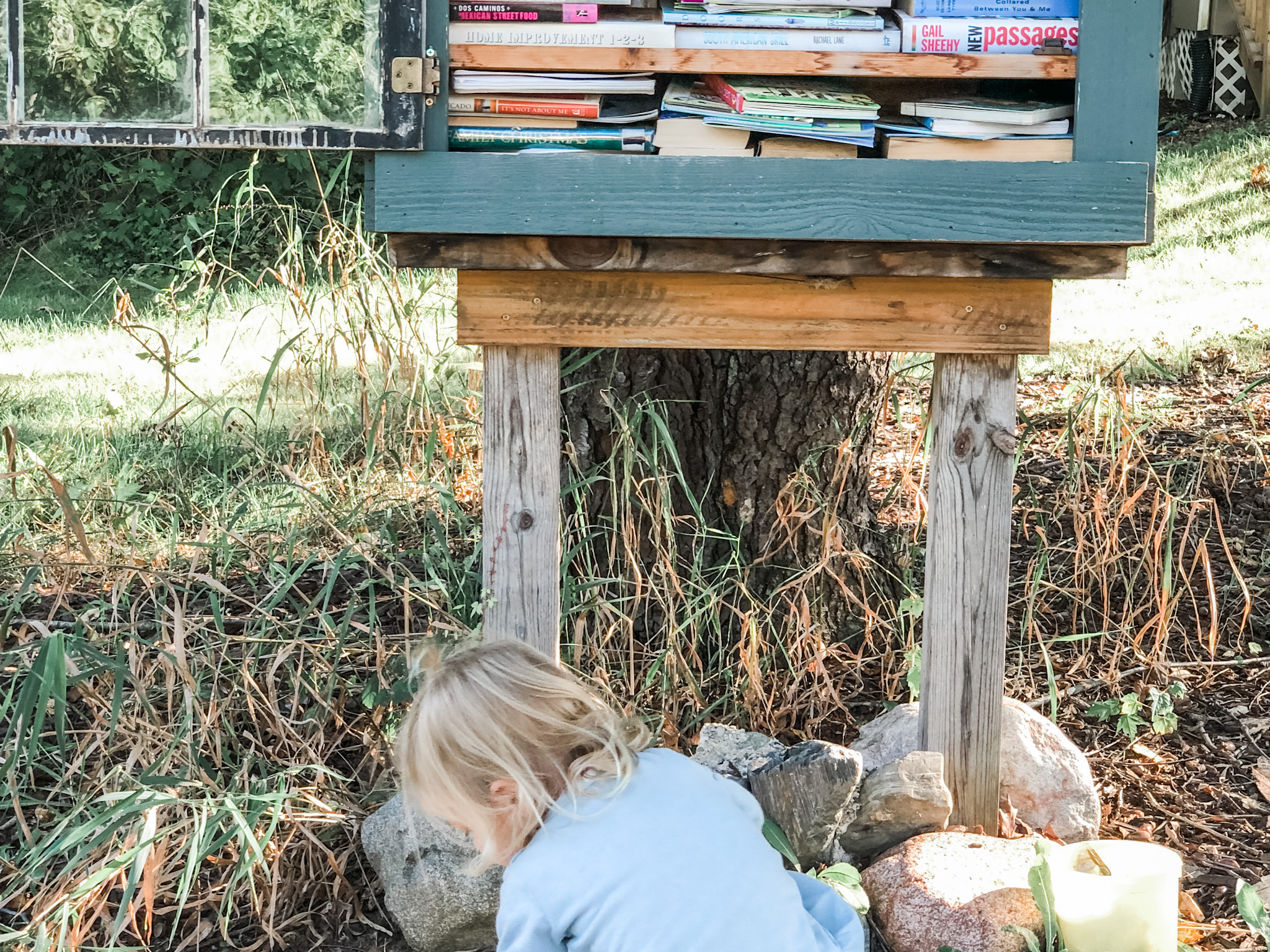 A child enjoying a local free little library as a summer activity.
