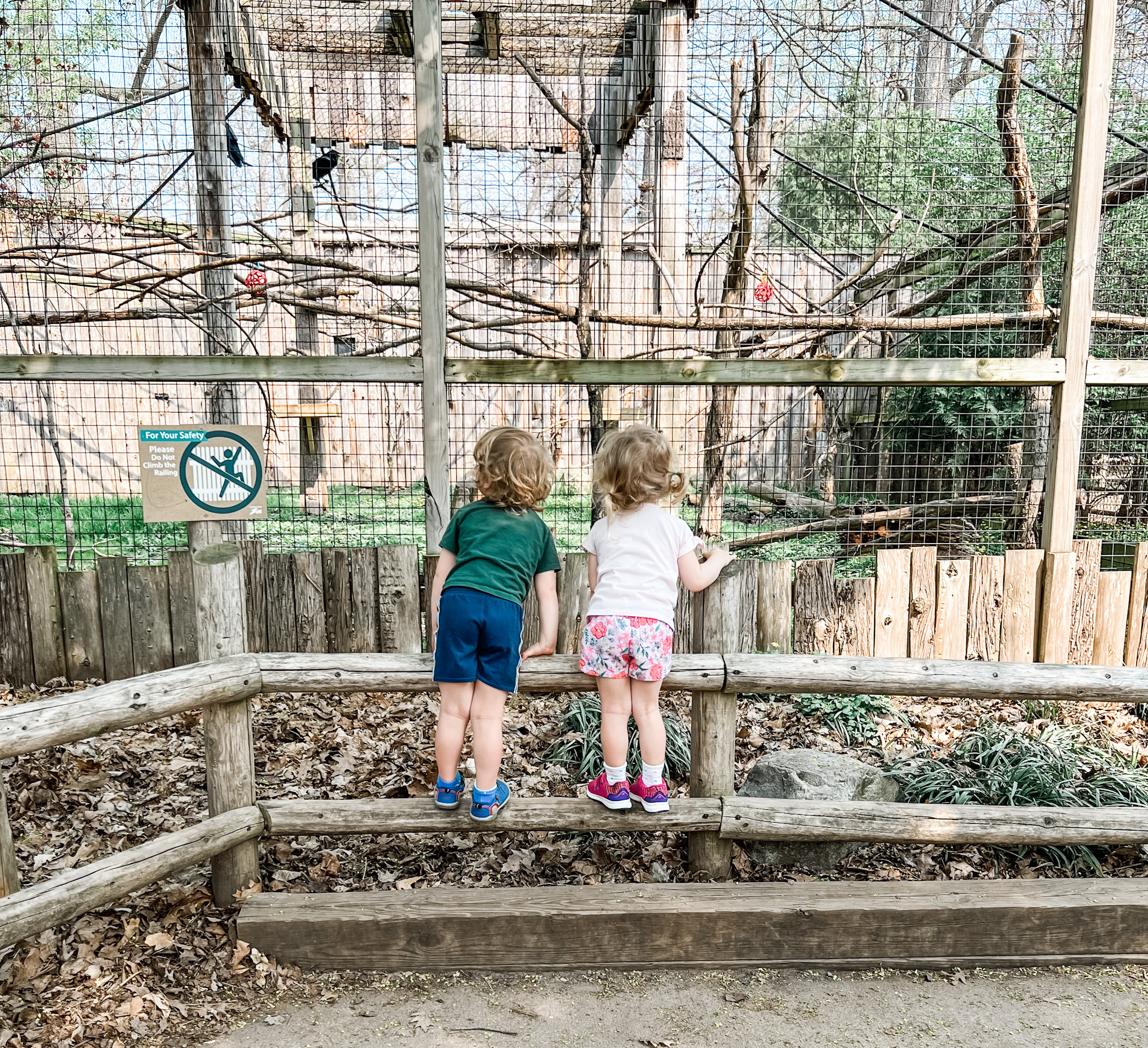 two kids looking at birds at Potter Park Zoo.