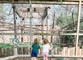 two children looking at birds at potter park zoo.