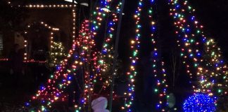 get outside and experience the lights at potter park zoo